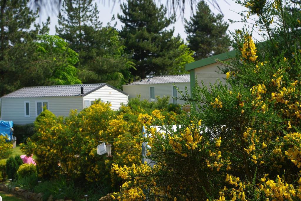 Le Domaine Des Jonquilles Camping Saint-Alban (Cotes-d'Armor)